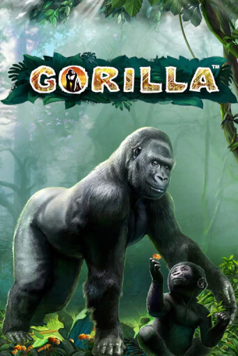 Gorilla играть демо онлайн без регистрации | Вулкан Слотс